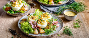 Gefüllte Eier auf Kräutersalat