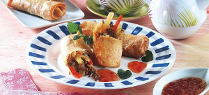 Frühlingsrollen mit Gemüse und Hackfleisch