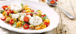 Ziegenkäse mit Avocado-Tomaten-Ragout